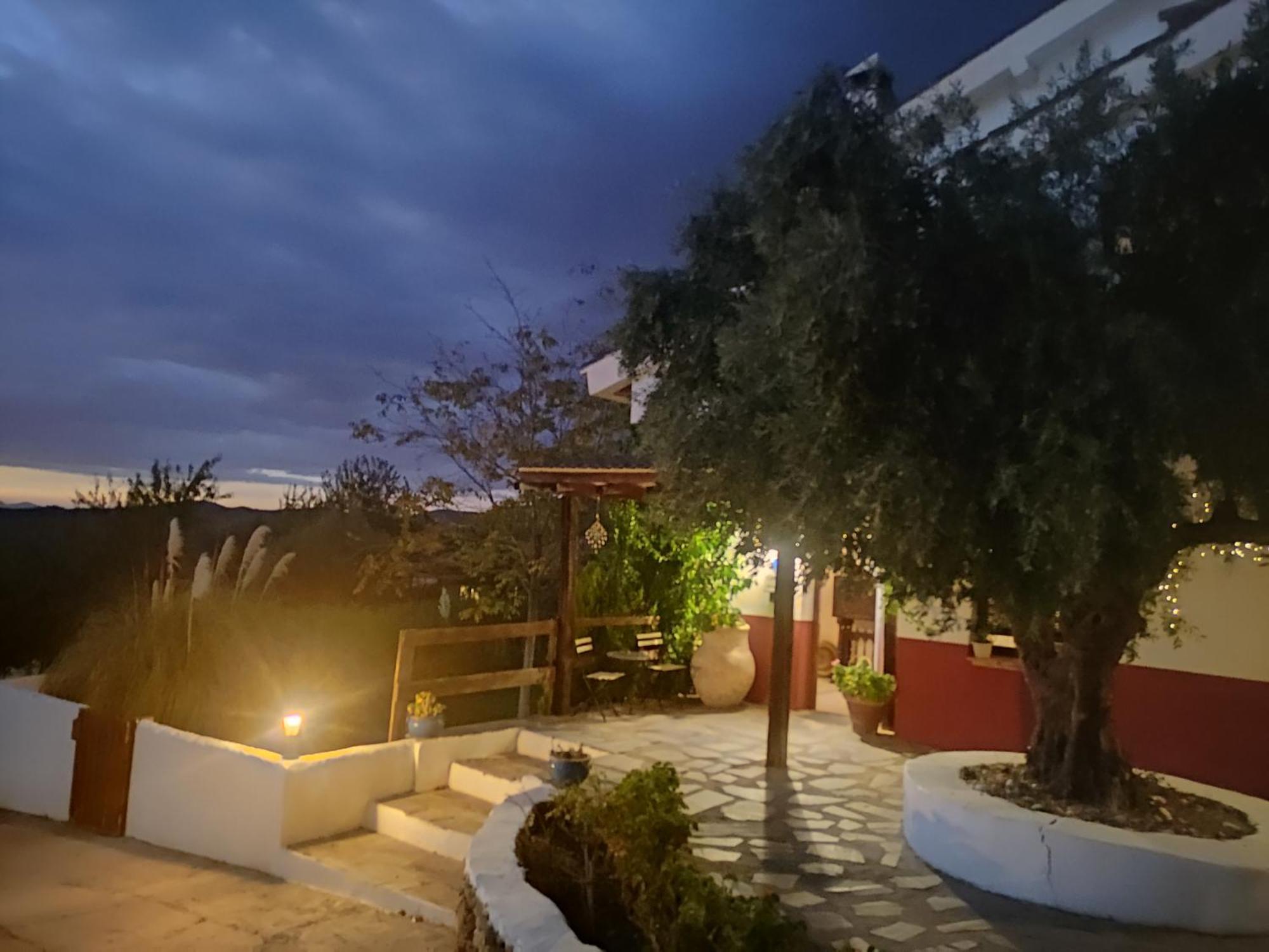Hotel Finca Aldabra Пинос-Хениль Экстерьер фото